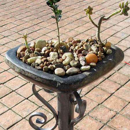 Pots