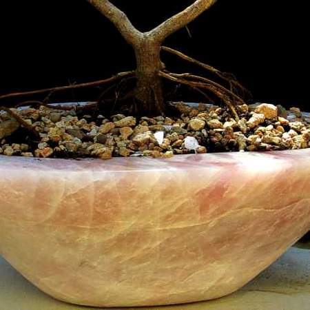 Pots